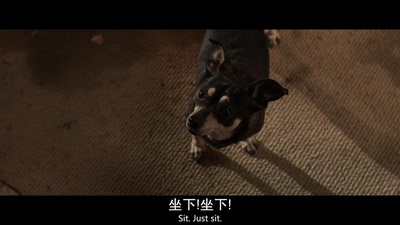 记忆提取剧照的剧照