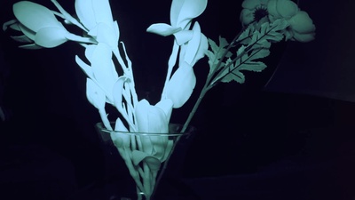 刽子手剧照的剧照