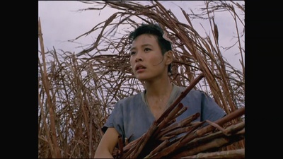 壮士血剧照的剧照