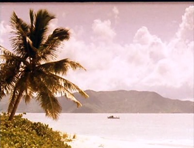 激情海岸剧照的剧照