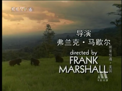 刚果惊魂剧照的剧照