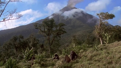 刚果惊魂剧照的剧照