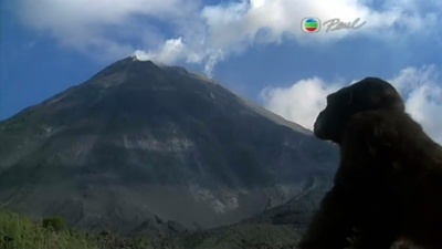 刚果惊魂剧照的剧照