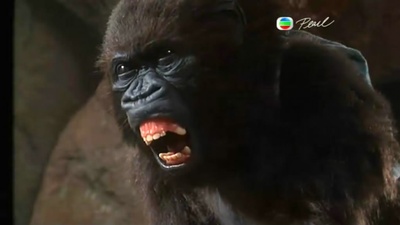 刚果惊魂剧照的剧照