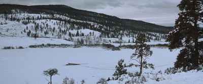 甜蜜的来世剧照的剧照