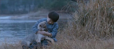 女人如花剧照的剧照