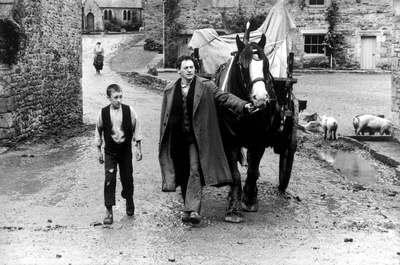 绝恋剧照的剧照