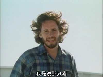 邪猫劫剧照的剧照