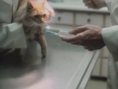 邪猫劫剧照的剧照