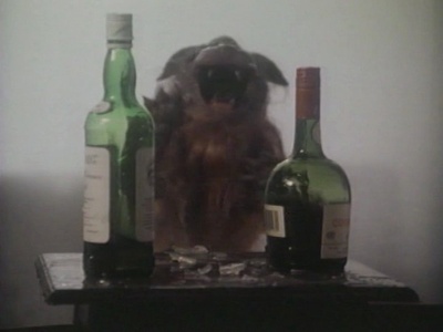 邪猫劫剧照的剧照