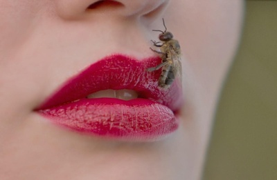 毛绒剧照的剧照