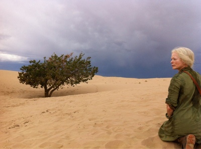 宿主剧照的剧照