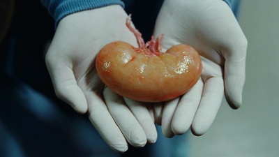 乱斗夫妻剧照的剧照