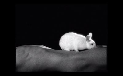 42分一幻梦剧照的剧照