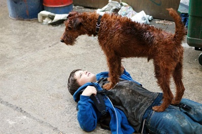 消防犬剧照的剧照