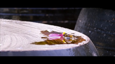 世上最美的离别剧照的剧照