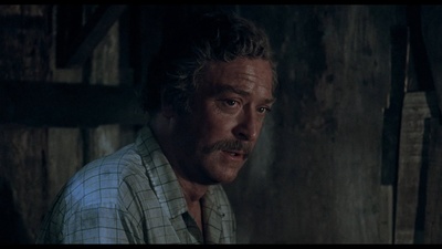 干柴烈火剧照的剧照