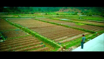 一路有你剧照的剧照