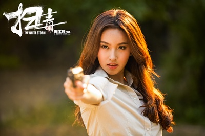 扫毒剧照的剧照