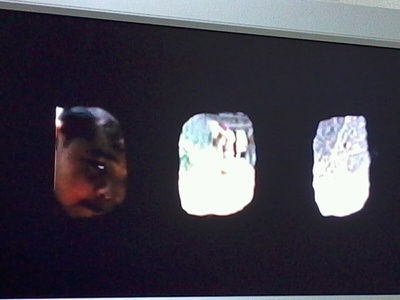 校树青青剧照的剧照