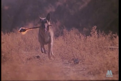 大气层消失剧照的剧照