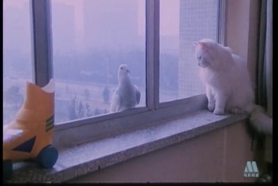 大气层消失剧照的剧照