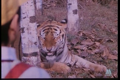 大气层消失剧照的剧照