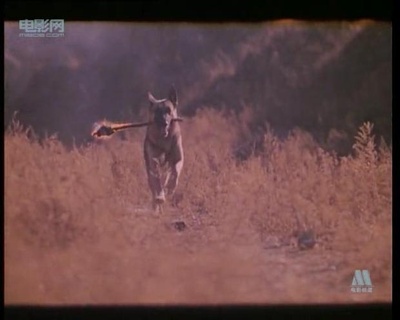 大气层消失剧照的剧照