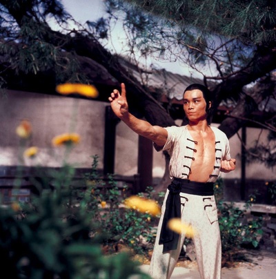 南少林与北少林剧照的剧照