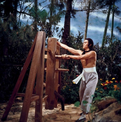 南少林与北少林剧照的剧照