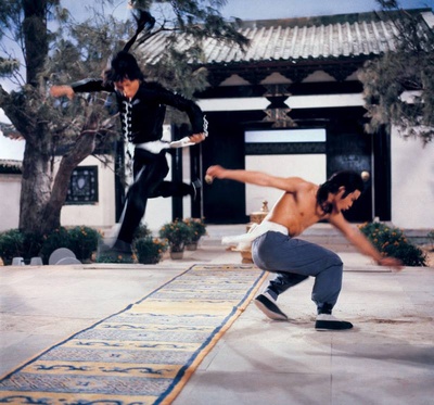 南少林与北少林剧照的剧照