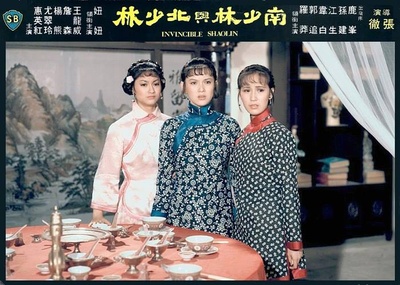 南少林与北少林剧照的剧照