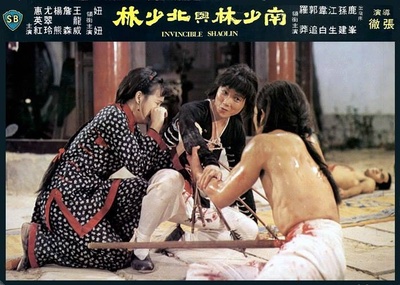 南少林与北少林剧照的剧照
