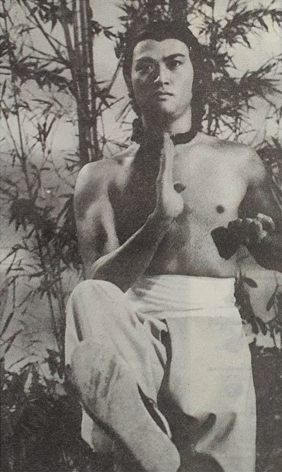 南少林与北少林剧照的剧照