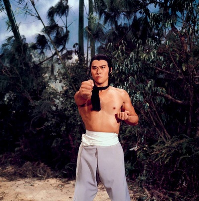 南少林与北少林剧照的剧照