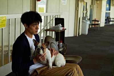 美好条纹剧照的剧照