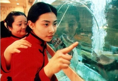 我的美丽乡愁剧照的剧照