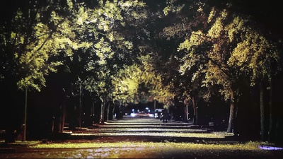 我想和你好好的剧照的剧照