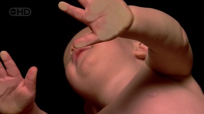 国家地理：新生儿身体密码剧照的剧照