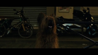 不可告人剧照的剧照