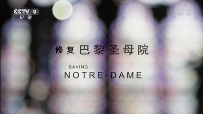 修复巴黎圣母院剧照的剧照
