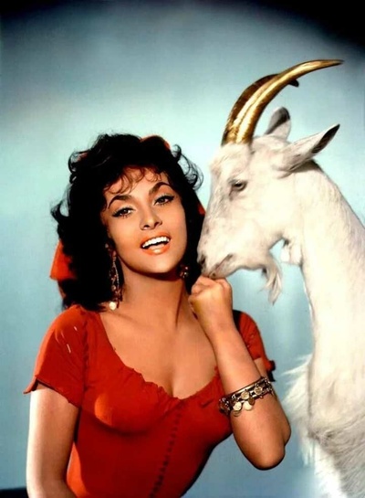 巴黎圣母院剧照的剧照