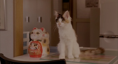 租赁猫剧照的剧照