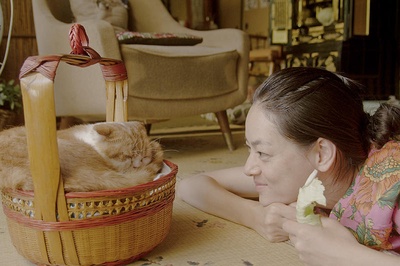 租赁猫剧照的剧照