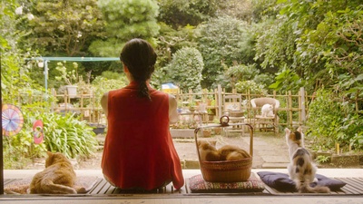 租赁猫剧照的剧照