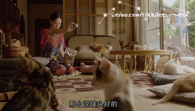 租赁猫剧照的剧照