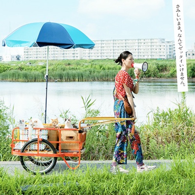 租赁猫剧照的剧照