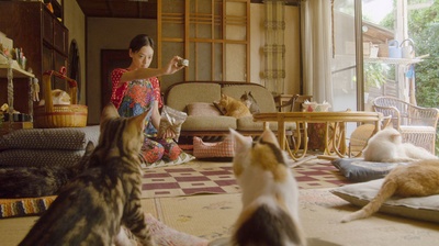 租赁猫剧照的剧照