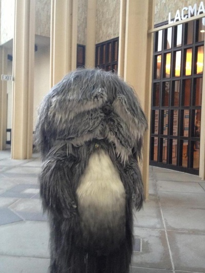 水母看世界剧照的剧照