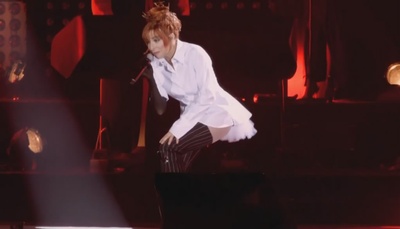 玛莲·法莫法国体育馆演唱会剧照的剧照